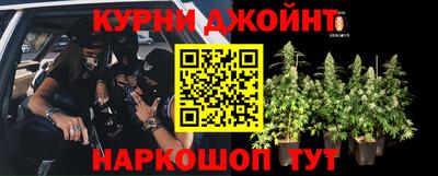 прущие грибы Первоуральск