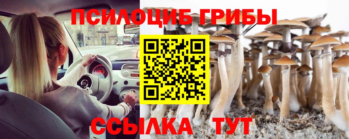Псилоцибиновые грибы мицелий  Вход с VPN  Учалы  Псилоцибиновые грибы Cubensis 