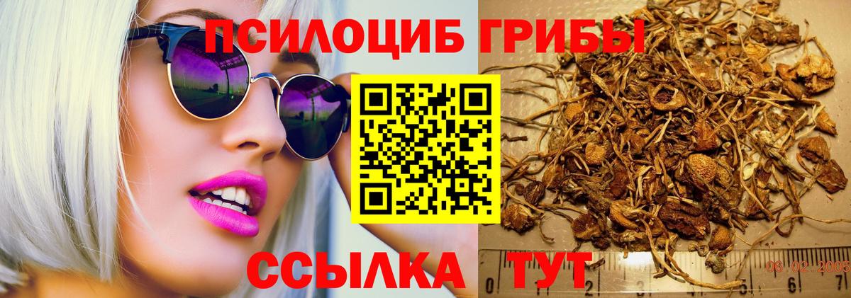 Псилоцибиновые грибы Psilocybine cubensis Учалы